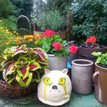 Rum i privatbostad Goscinne 