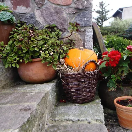Goscinne Tak Lubisz Kwatera prywatna