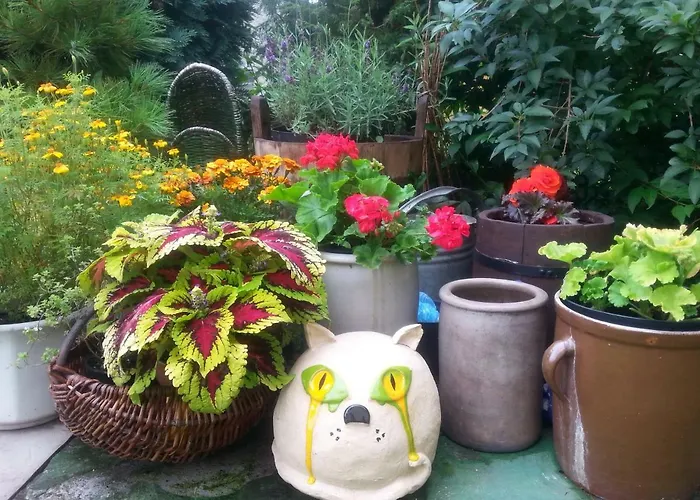 Rum i privatbostad Goscinne 