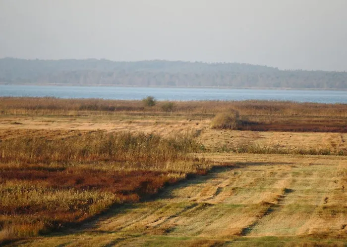Habitación en casa particular Goscinne 